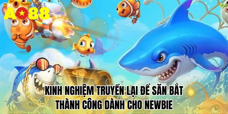 Kinh nghiệm truyền lại để săn bắt thành công dành cho newbie