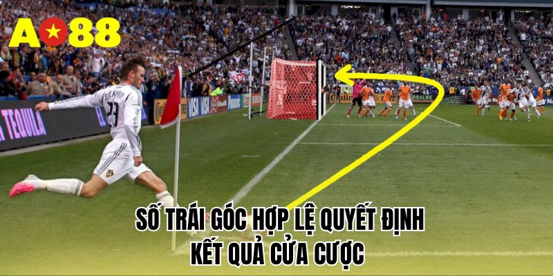 Số trái góc hợp lệ quyết định kết quả cửa cược